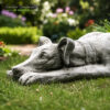 Life Size Lying Greyhound Garden Ornament