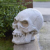 Skeletor Skull Head Garden Ornament
