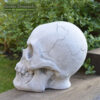 Skeletor Skull Head Garden Ornament