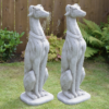 Life Size Greyhound Pair